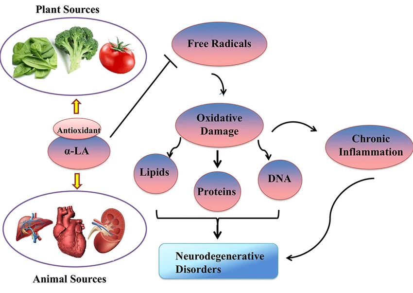 Alpha-Lipoic Acid Alpha-Lipoic Acid