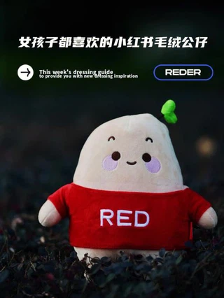 Xiaohongshu Doll ! Xiaohongshu Doll !